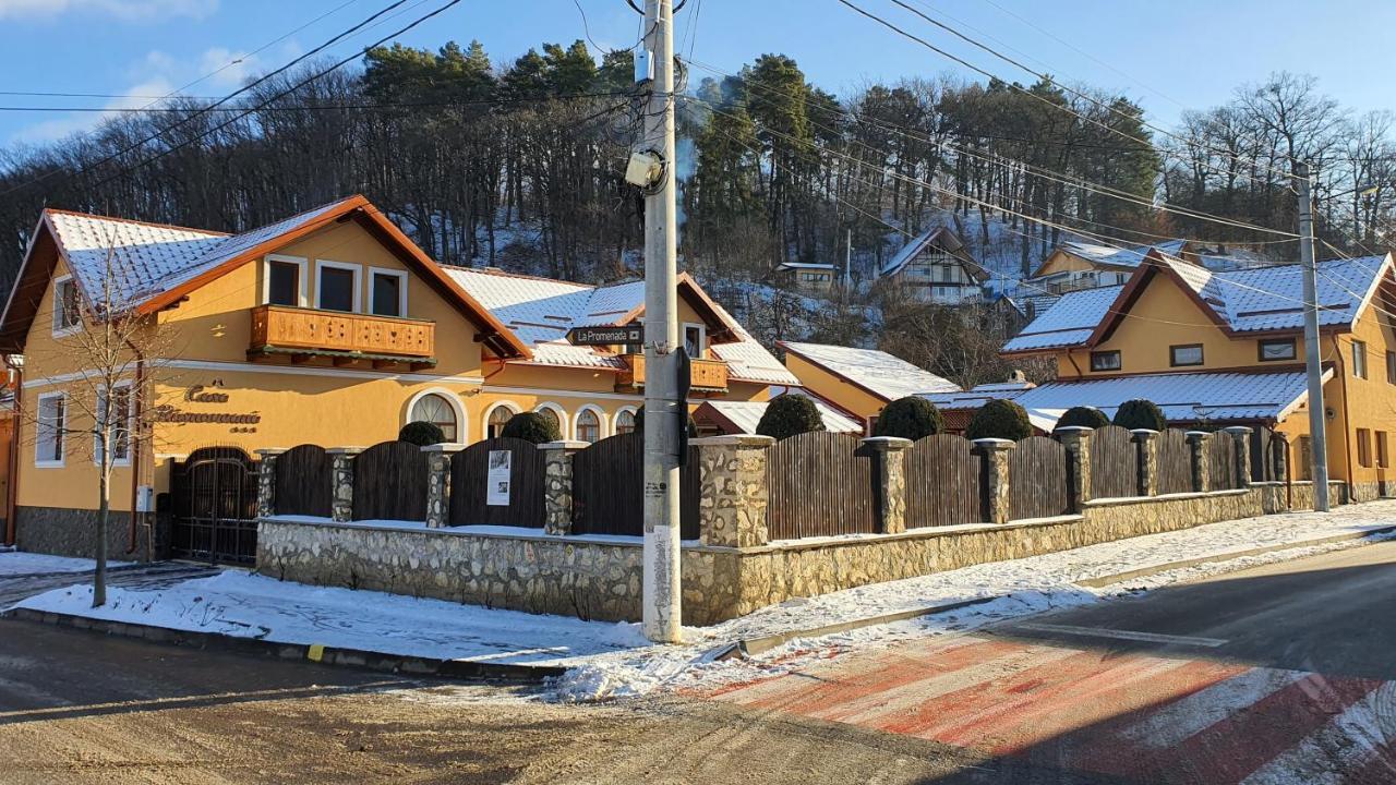 Casa Rasnoveana Экстерьер фото